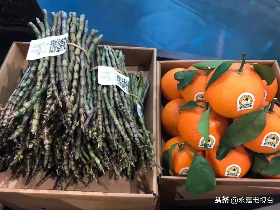 金奖脆豆腐,豆腐大赛金奖菜品