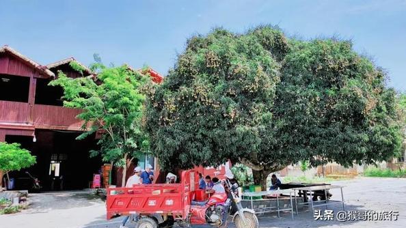 这才是海南最美的乡村,海南桃花源