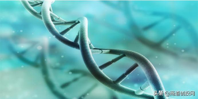 臻和科技完成超3亿元D1轮融资，基因检测百亿市场或将开发？