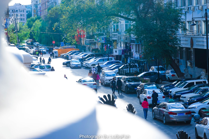 哈尔滨11月吃喝玩乐攻略,今夏哈尔滨旅游全攻略