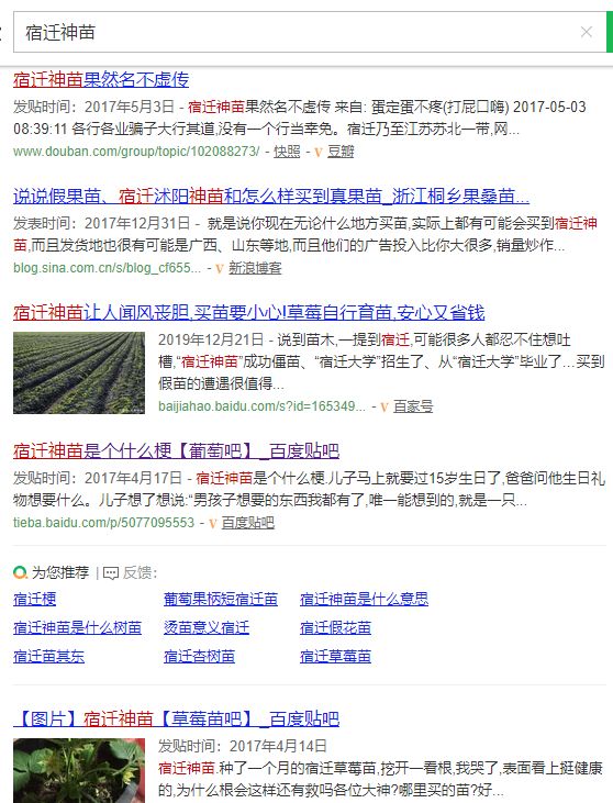宿迁神苗淘宝,宿迁神苗真假对比