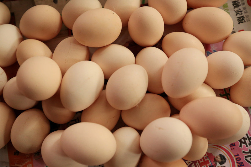 春天买土鸡蛋,鸡蛋买绿壳的还是粉壳的好些