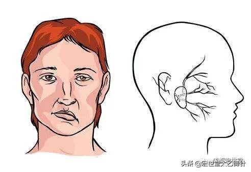 千年绝技完整版视频,千年国医之针灸奥秘