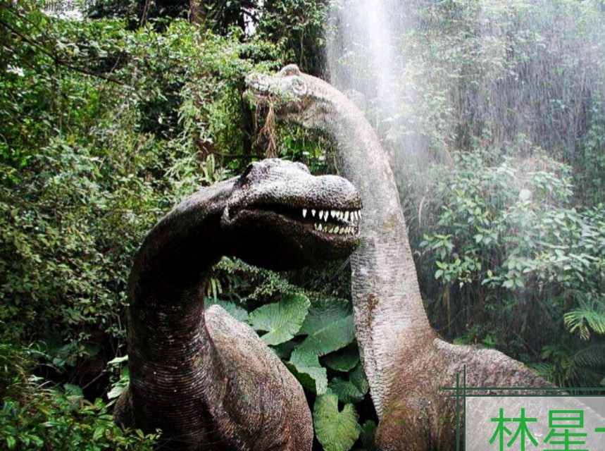 深圳世界公园景点,深圳青青世界景点地址查询