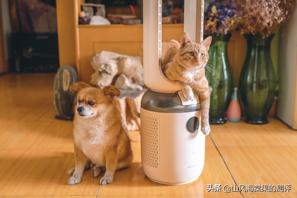 大宇无叶风扇推荐,韩国大宇无叶风扇