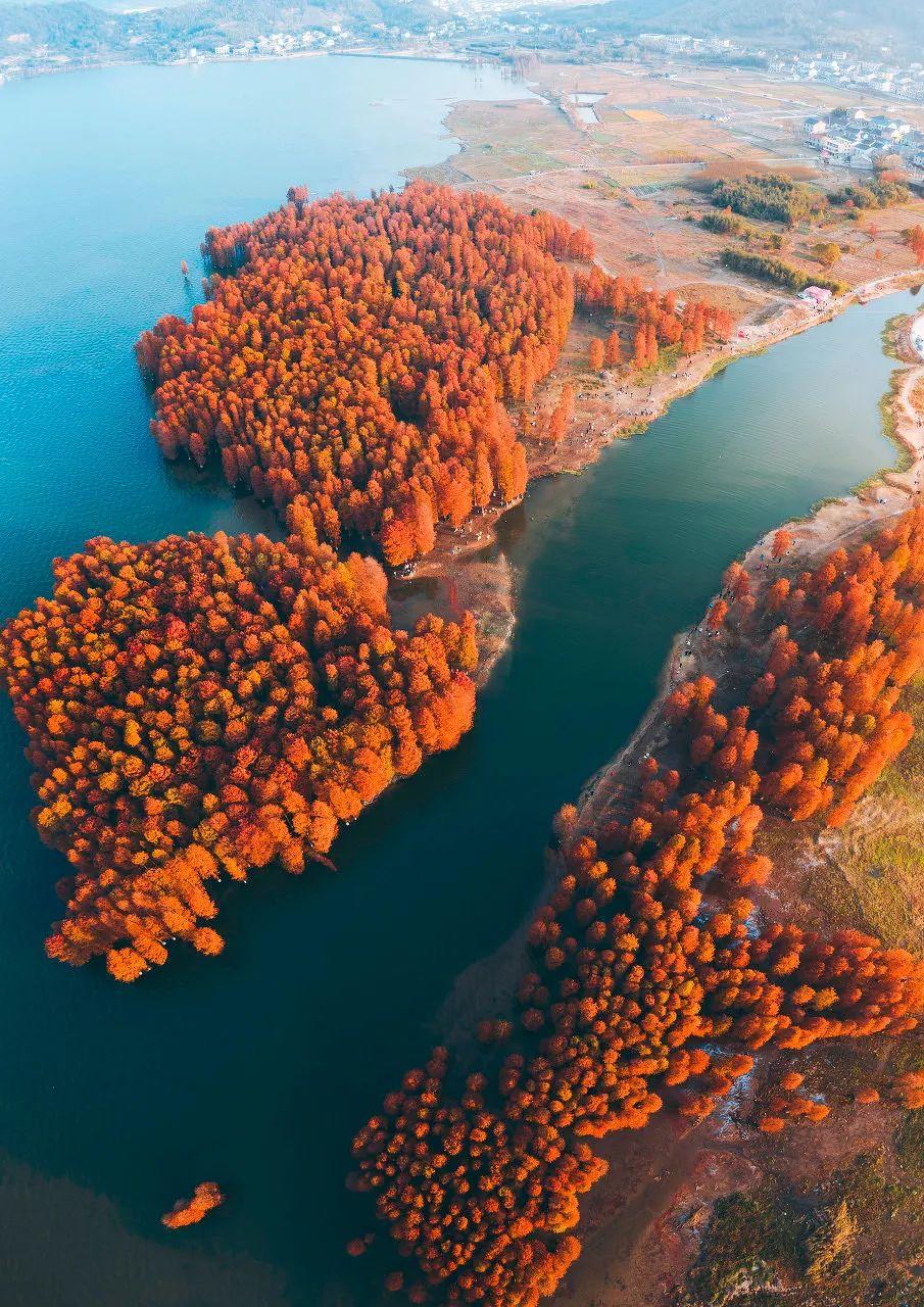 书藏古今港通天下,书藏古今港通天下央视