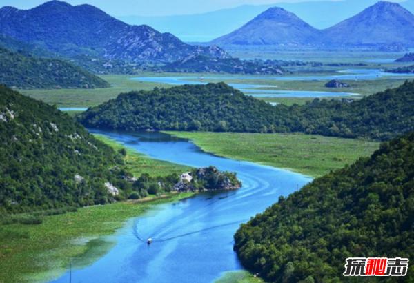 了解巴西简介,了解一下巴西的原始森林