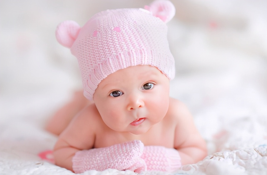 猪宝宝和鼠宝宝哪个好,为什么都喜欢生猪宝宝