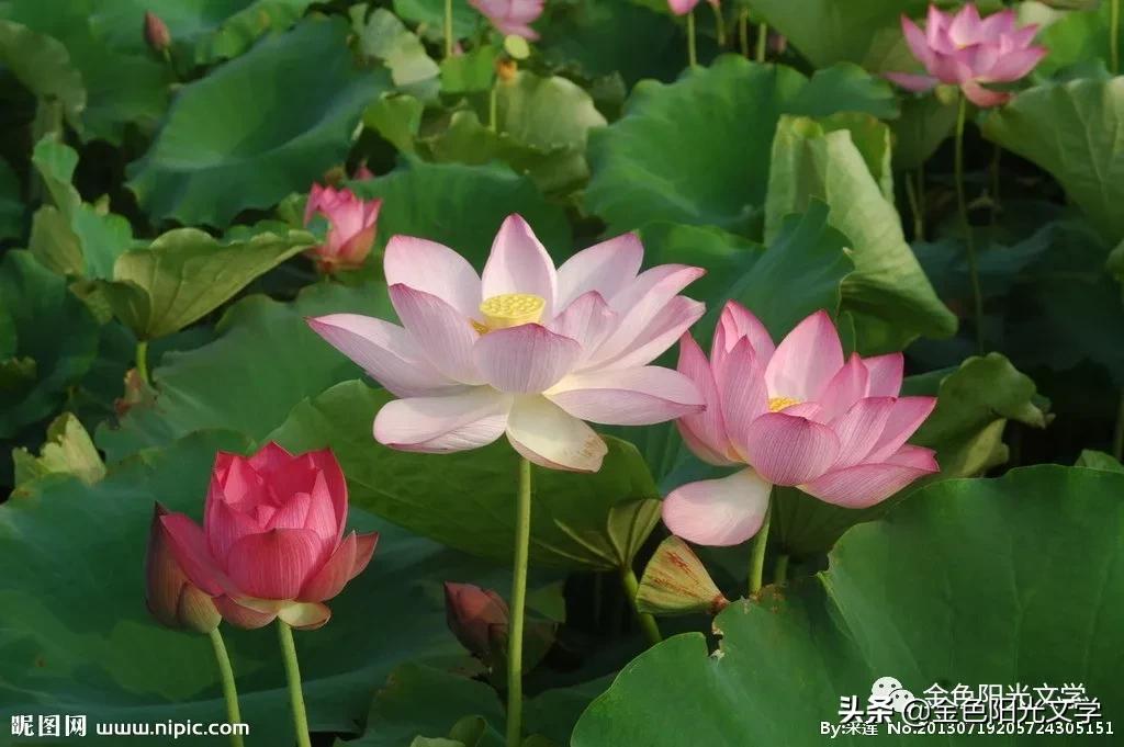 快乐星期六剪辑,快乐星期六摆造型