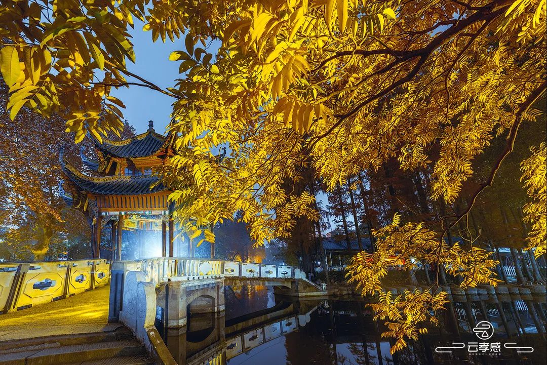 李鸿飞摄影作品初春,李鸿飞画家