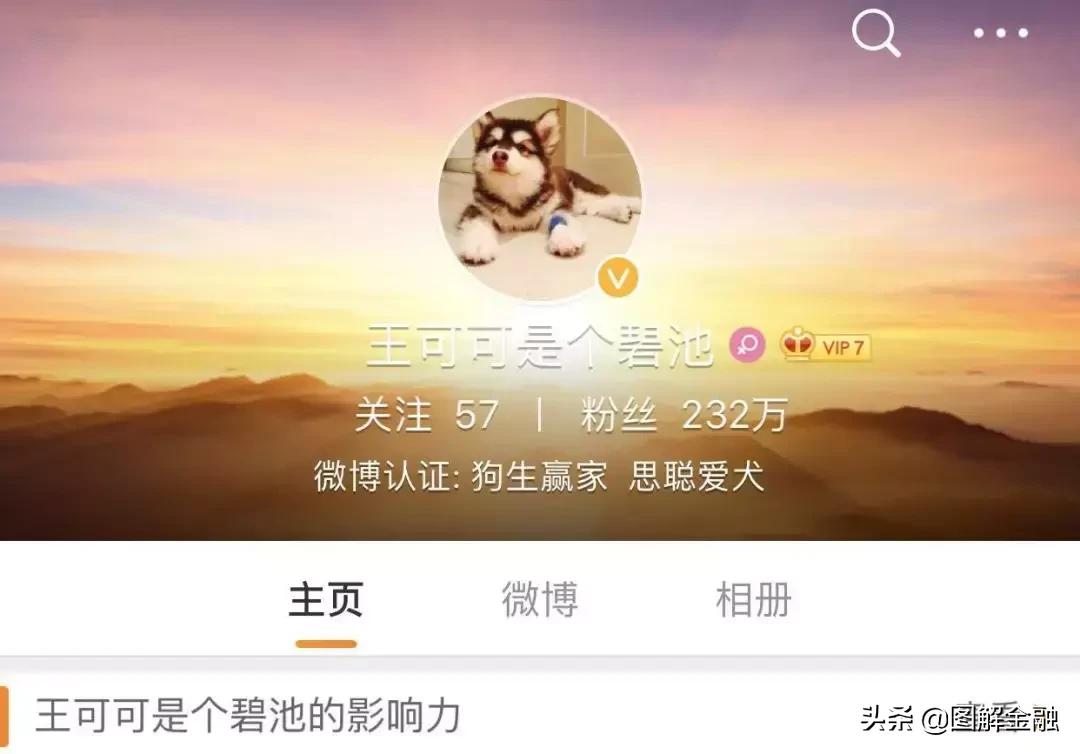 举报宠物店暴利,开宠物店会血本无归吗