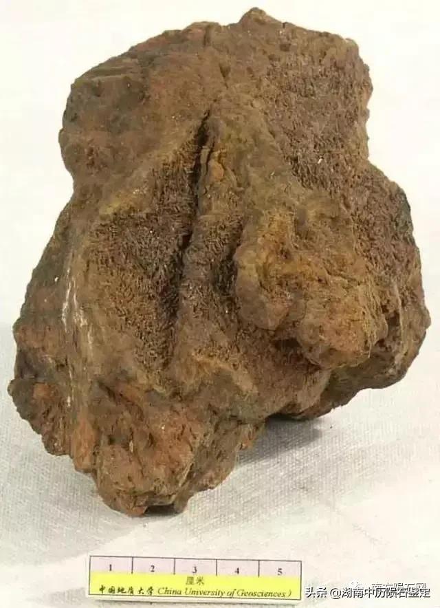 月球陨石与地球矿石的区别,月球陨石和矿石有什么区别