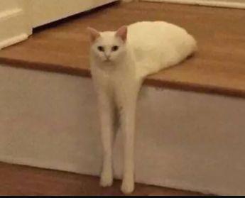 挠痒痒的愉悦程度到底有多大?该研究获得了2019搞笑诺贝尔和平奖