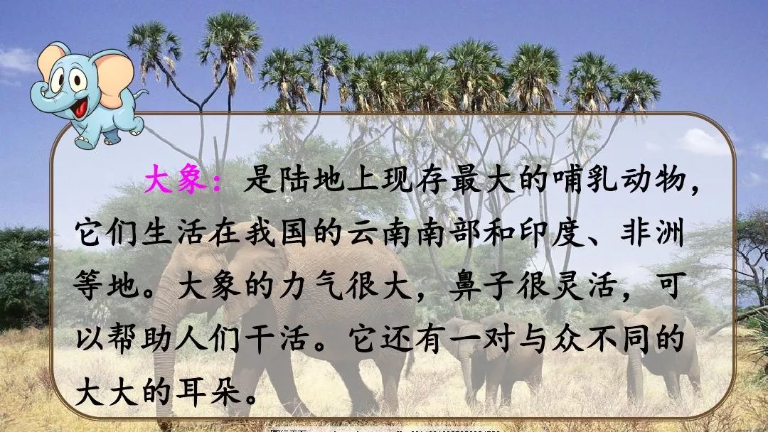 二年级下语文大象的耳朵动画片,部编版二年级下册语文大象的耳朵