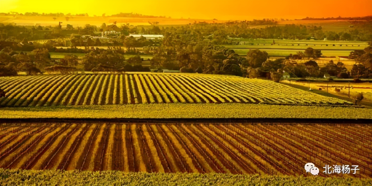 中国气候宜居城市2021,2021亚洲最宜居城市