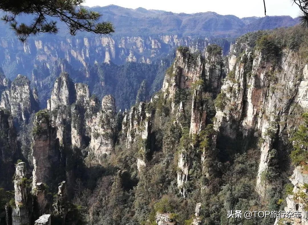 立夏去哪里旅游最好,立夏这个季节去哪里玩