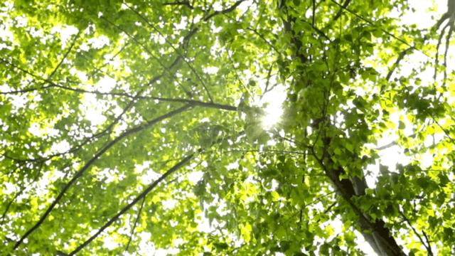 汉中周边踏青的好地方有哪些,汉中乡村游秘境