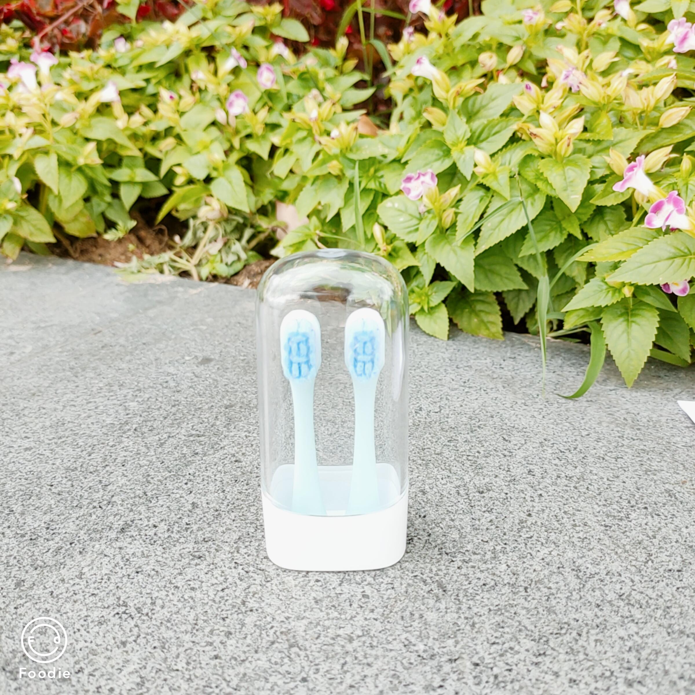 300元以内的儿童电动牙刷测评,宠物电动牙刷好不好