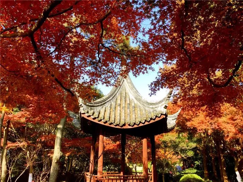 生日当天上海免费景点,上海网红打卡地点景点免费