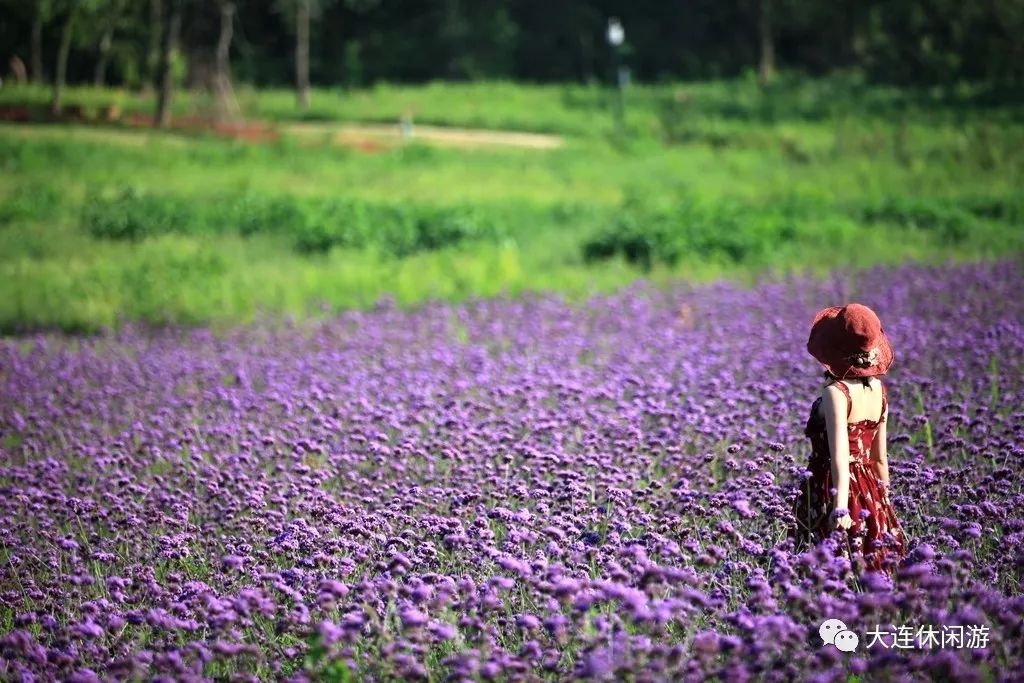 大连九月旅游攻略大全,大连11月旅游的最佳地方