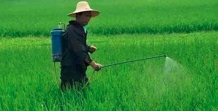 咋清洗打过玉米除草剂的喷雾器,怎样清洗喷过玉米除草剂的喷雾器