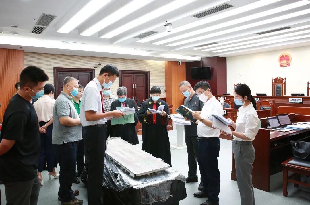 护航大湾区建设的“广知力量”