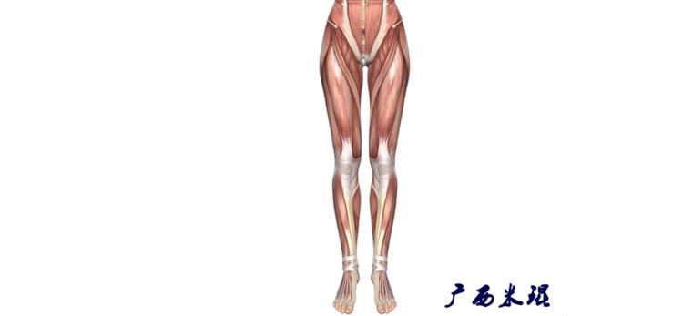 广西骨科医生米琨最新信息,米琨广西骨科什么水平