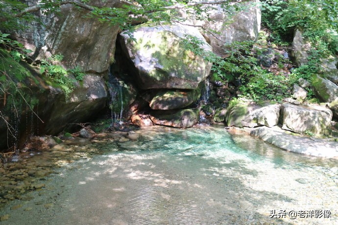 藏龙大别山度假酒店,罗田天堂寨藏龙大酒店价格