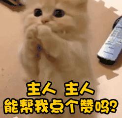 中甲最后一轮四川九牛全华班,中甲联赛四川九牛延边龙鼎