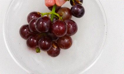 葡萄怎么挑选才不酸,葡萄怎么选好