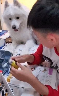 两根黄瓜搞笑图片,腰椎间盘突出搞笑图片高清大图