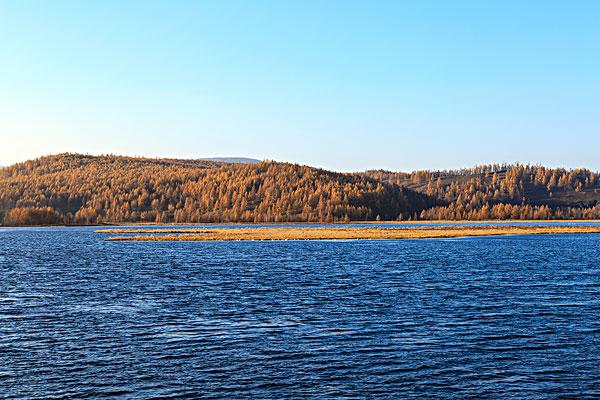 一个叫欧维的男人决定去死读后感,一个叫欧维的男人决定去死书摘