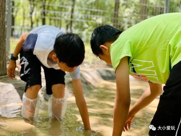 北京再添新乐园，未开先火、全年龄畅玩～六大欢乐目的地，快收藏