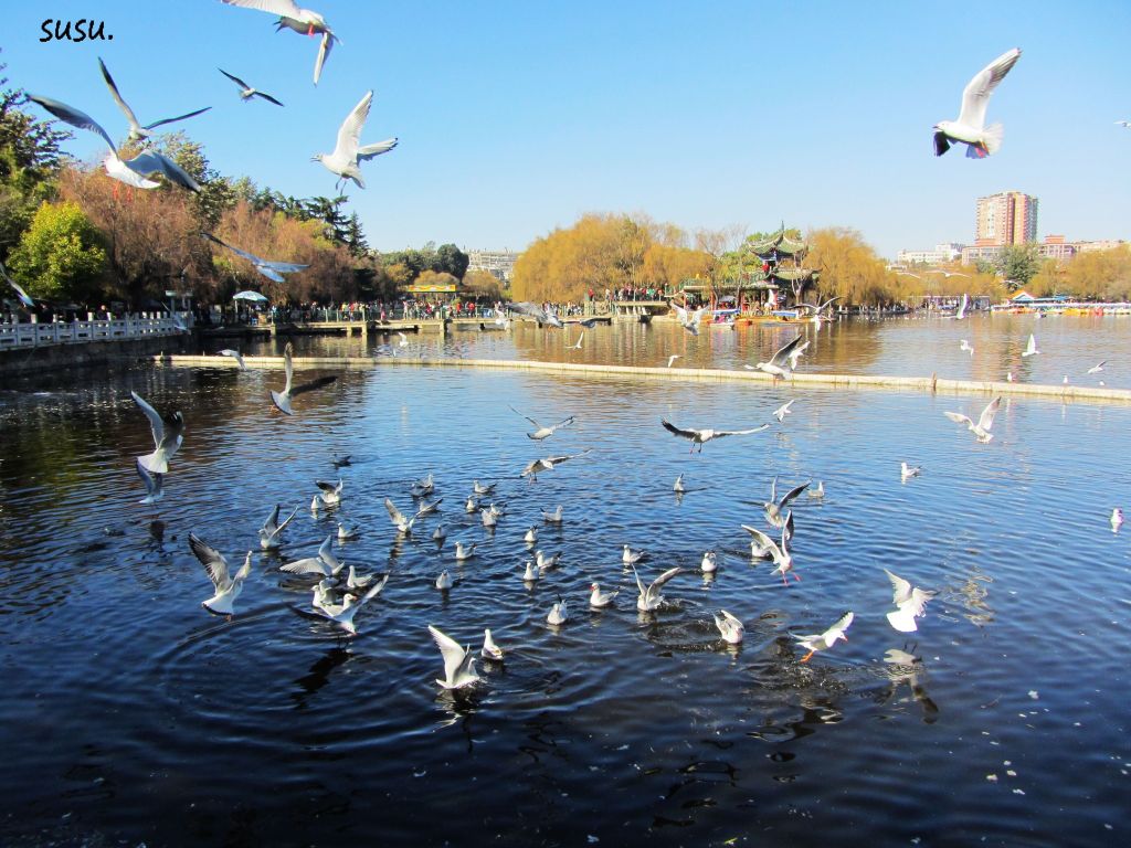 来云南昆明必打卡的10个景点,昆明市区夜景打卡景点