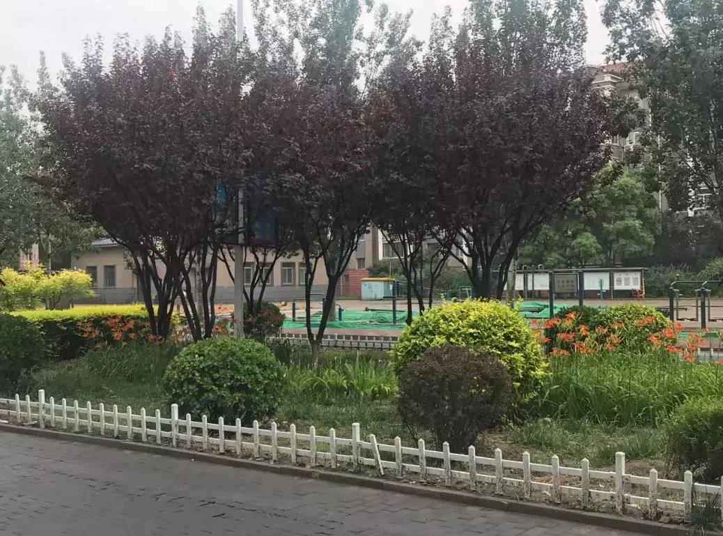 新划进光明中学的这个老小区，位置真好！还不贵