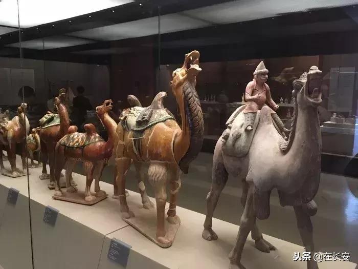 西安周边亲子游玩好去处推荐,西安儿童游乐去处推荐