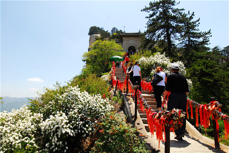 华旅集团华山景区改造,华山华旅集团现状