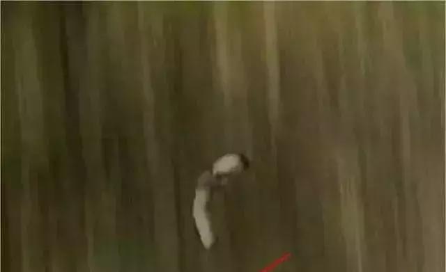 人民的名义抄袭案,人民的名义涉抄袭