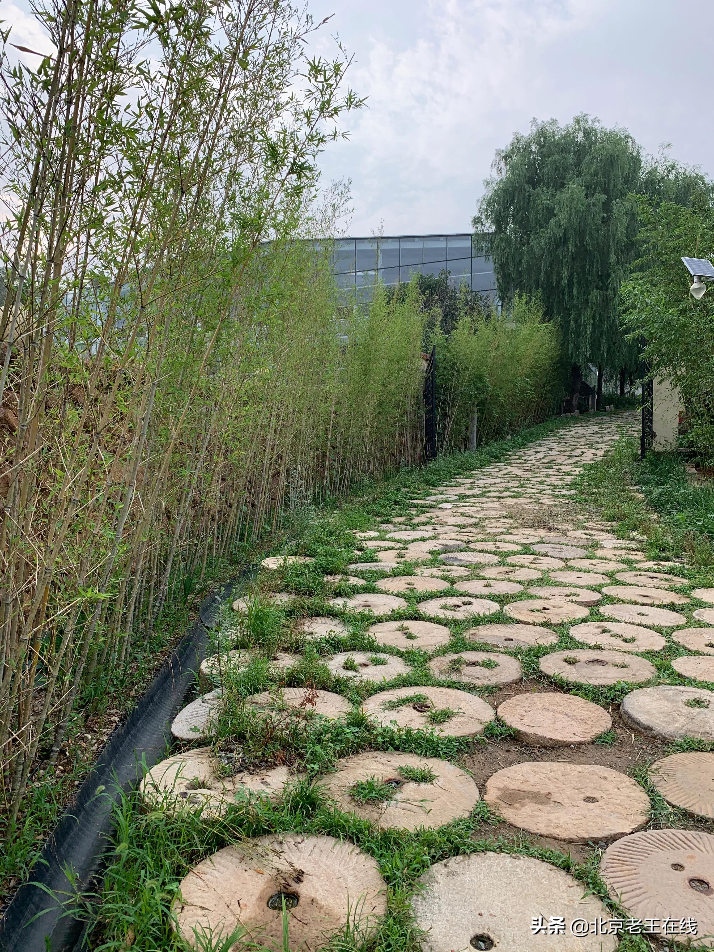 密云深山有什么好玩的地方,密云野游的好地方