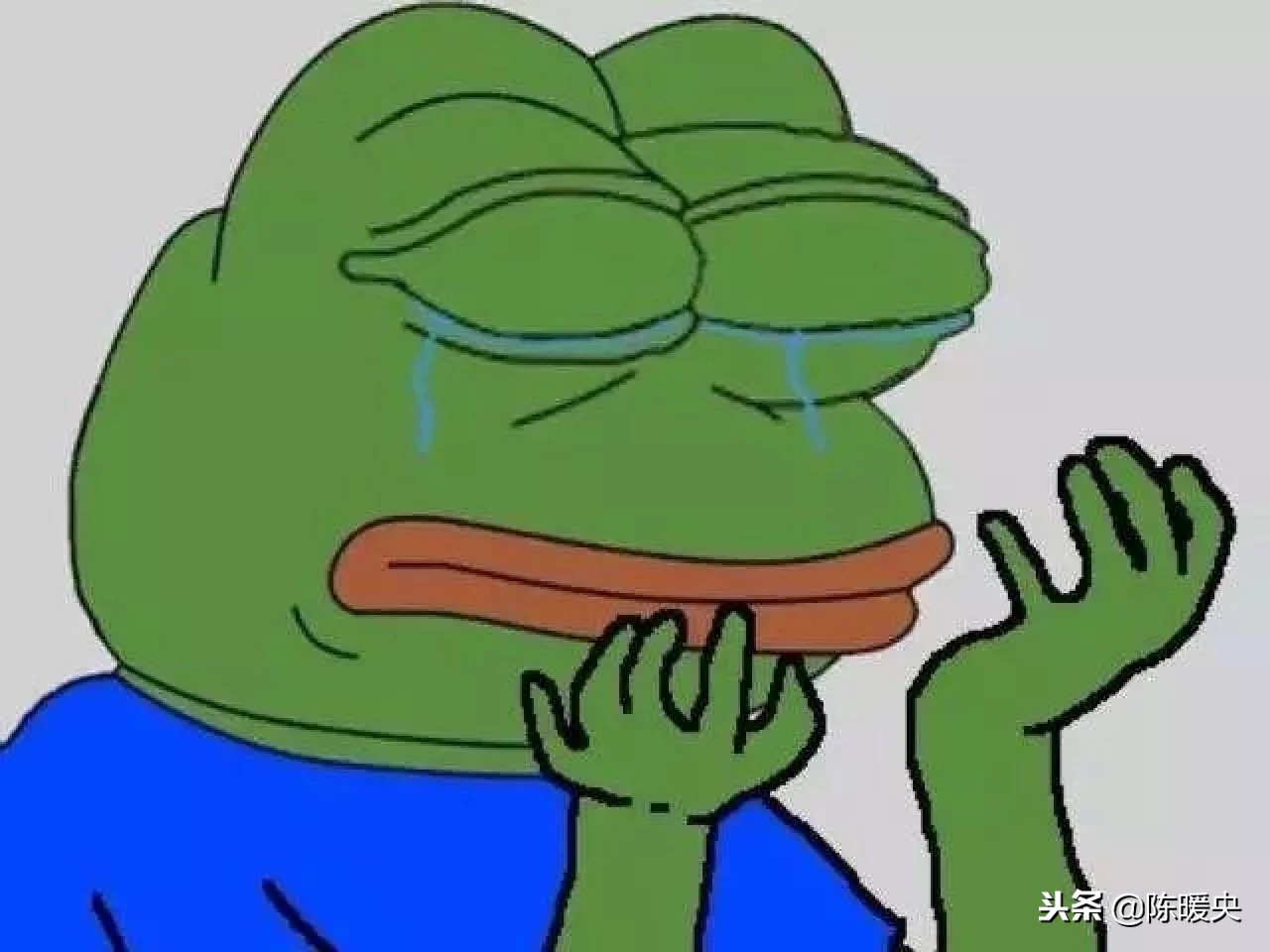 私教不会修复体态,私教不会教给你训练细节