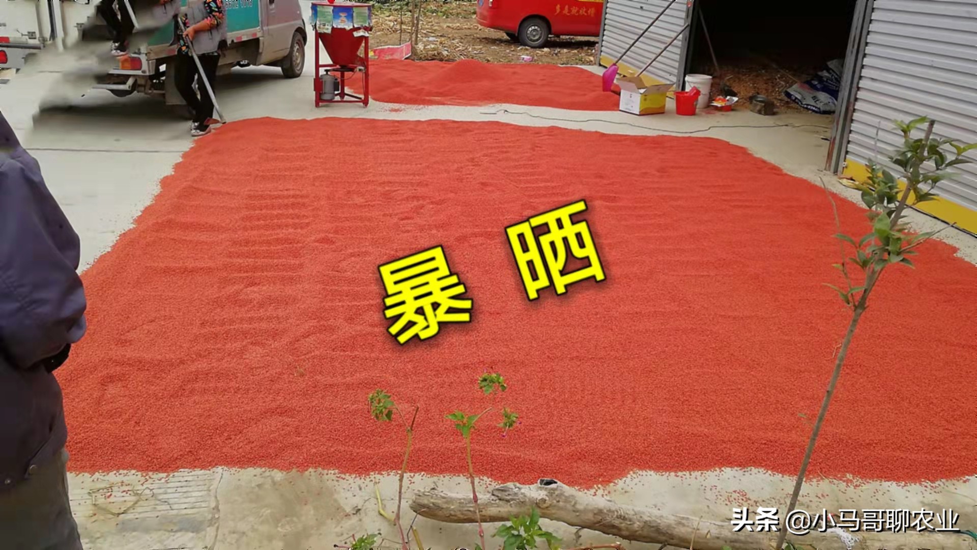 农民购买种子化肥注意事项,农民购买种子应注意问题