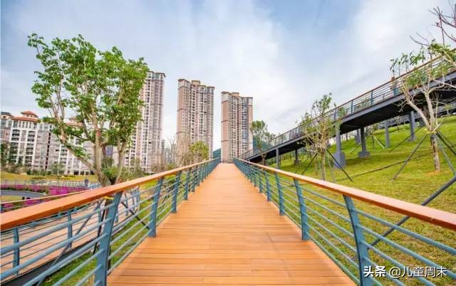 深圳中心公园足球场,深圳中心公园大草坪