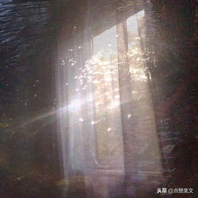 发朋友圈的十句情感语录说说短句,适合发朋友圈的感情句子句句戳心