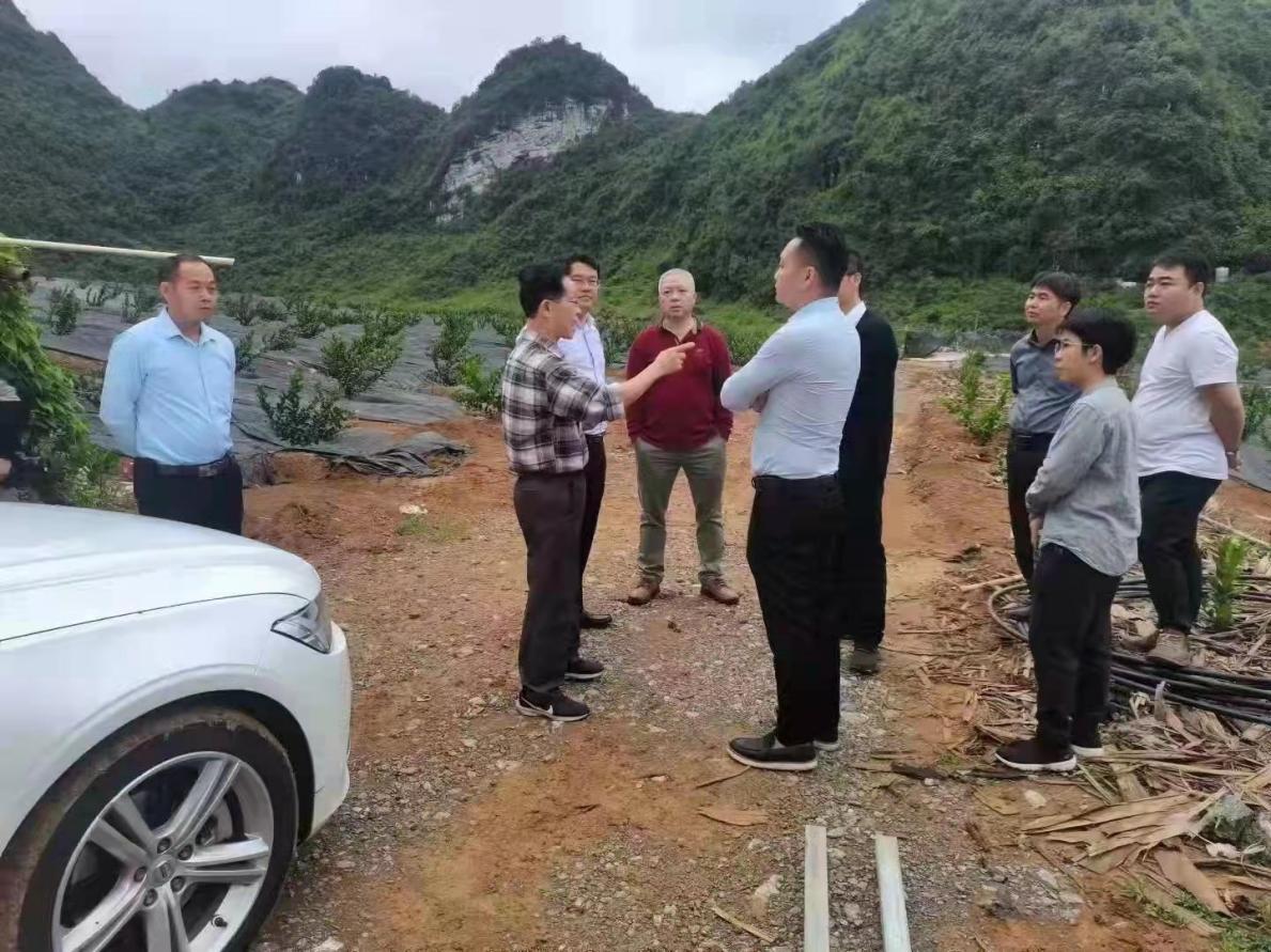 助力农业产业转型升级,全县农业产业振兴工作方案