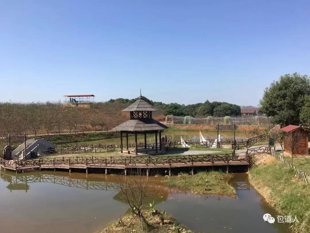 奋斗中的宸宸,奋斗中的新密人