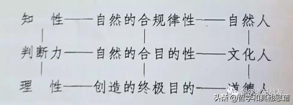 康德判断力的批判读后感,康德的判断力批判的什么