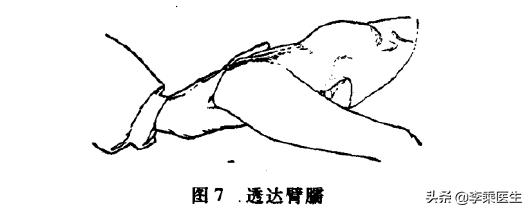 金针王乐亭全部视频,金针王乐亭徒弟