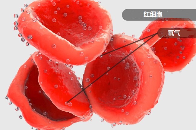 有没有不吃药补铁快的方法,补铁吸收不了怎么办