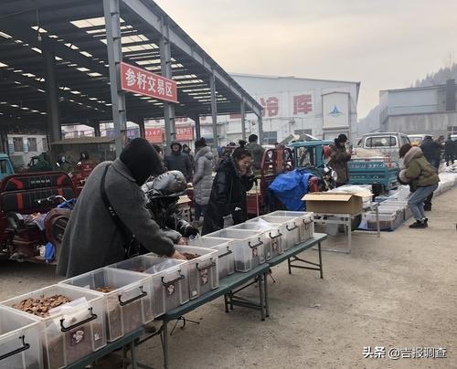 中国人参之乡抚松万良,最近抚松县万良人参交易市场