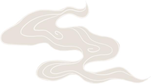 龟汤药材配方,石龟煲汤料配方大全